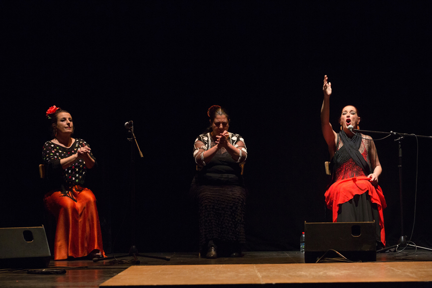RencontrAs FlamencAs 2014 ~ photo©Caroline Ablain