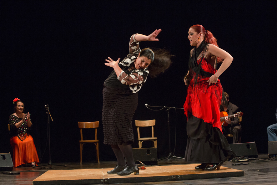 RencontrAs FlamencAs 2014 ~ photo©Caroline Ablain