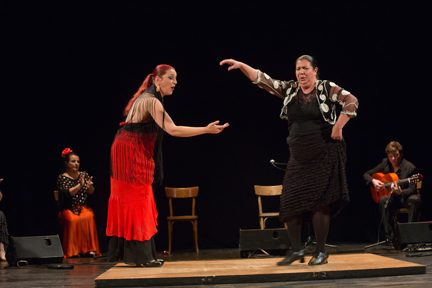 RencontrAs FlamencAs 2014 ~ photo©Caroline Ablain