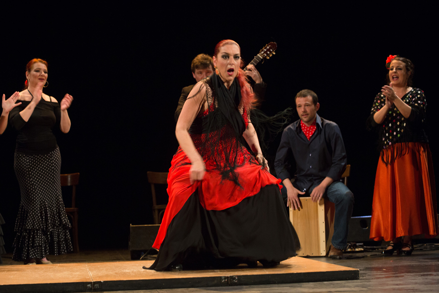 RencontrAs FlamencAs 2014 ~ photo©Caroline Ablain