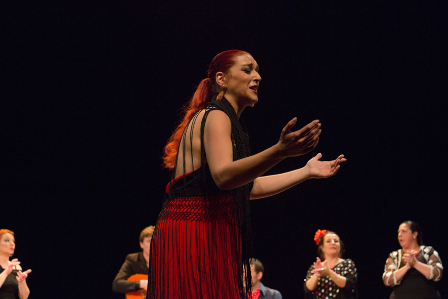 RencontrAs FlamencAs 2014 ~ photo©Caroline Ablain